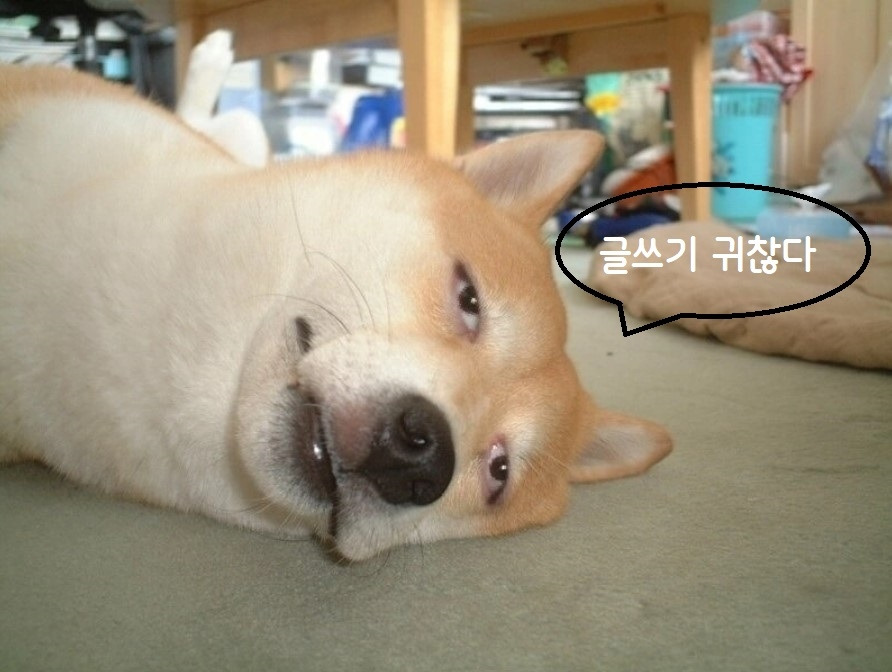 화면 캡처 2024-12-20 172653.jpg