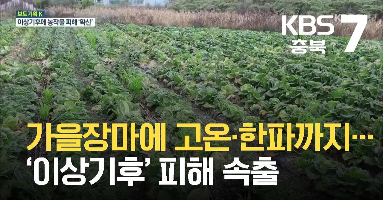 maxresdefault (1).jpg