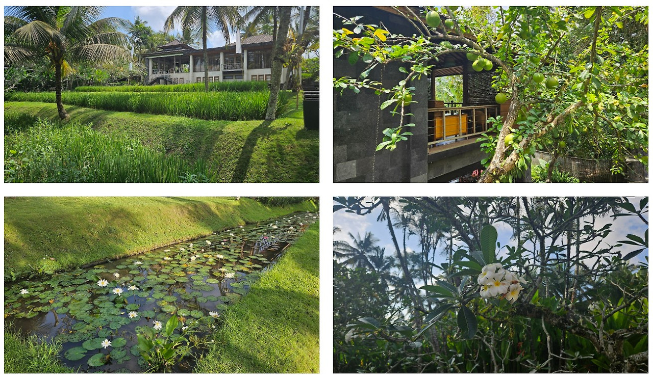 화면 캡처 2024-10-15 164615.jpg