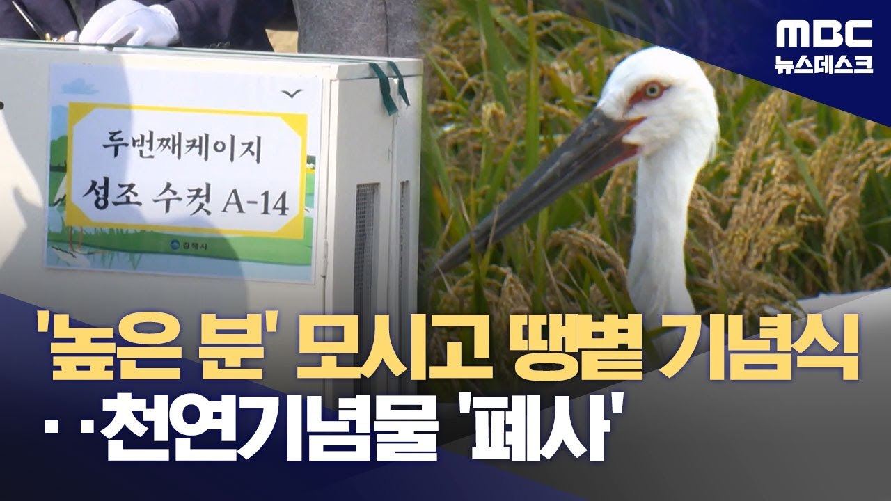 maxresdefault (1).jpg