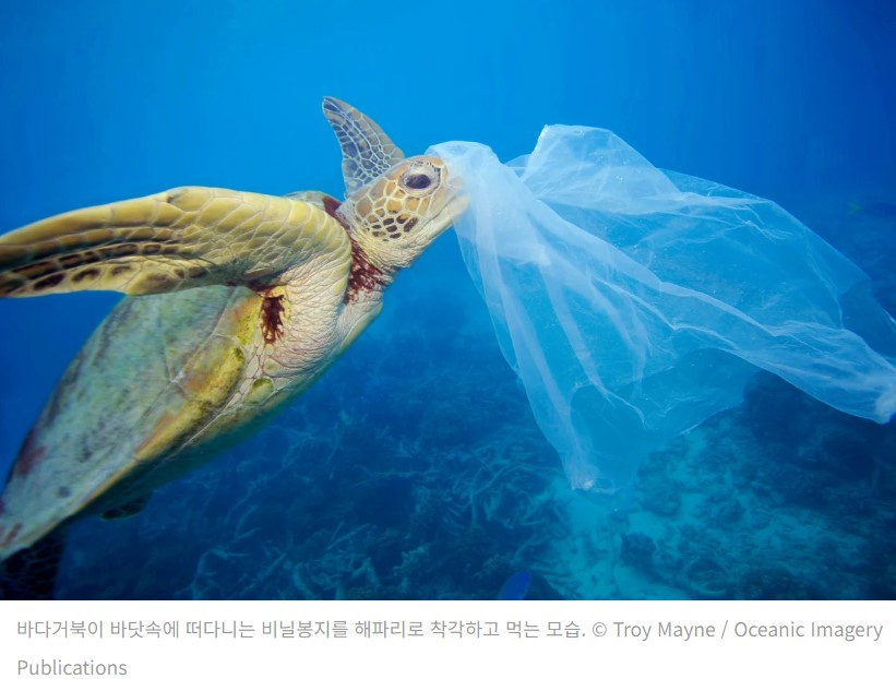 화면 캡처 2025-06-15 182414.jpg