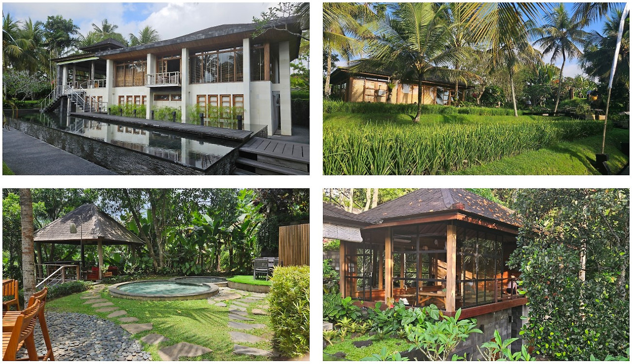 화면 캡처 2024-10-15 160207.jpg