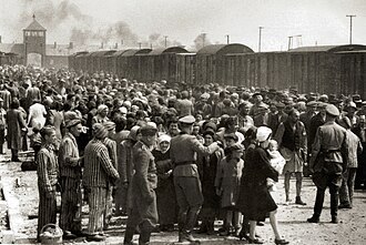 Selection_on_the_ramp_at_Auschwitz-Birkenau,_1944_(Auschwitz_Album)_1a.jpg