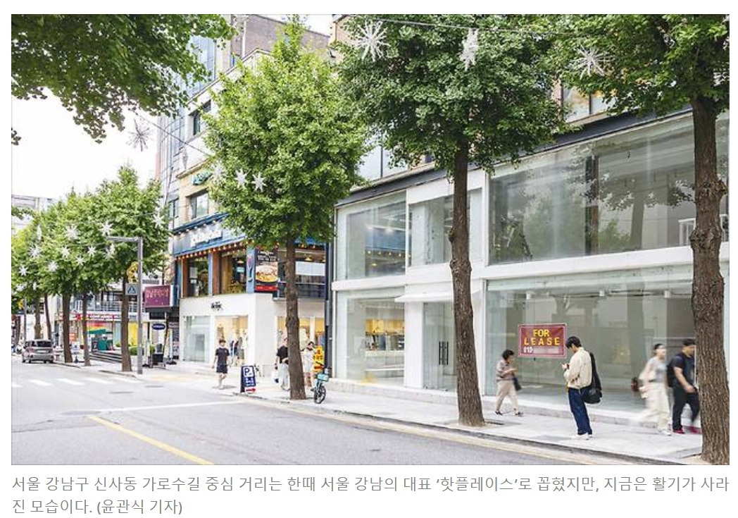 가로수길 뉴스.jpg