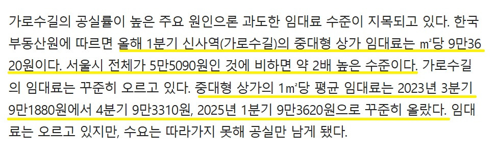 가로수길 뉴스2.jpg