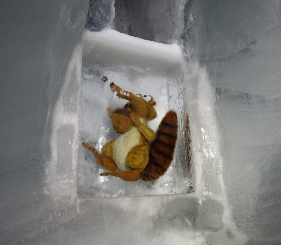 2018-06-11 10.48.42.jpg