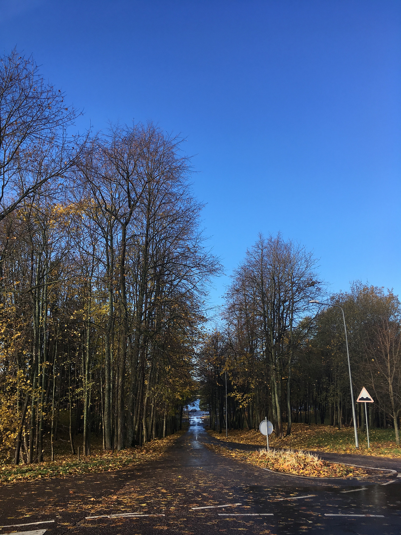 2016-10-29 10.52.59.jpg