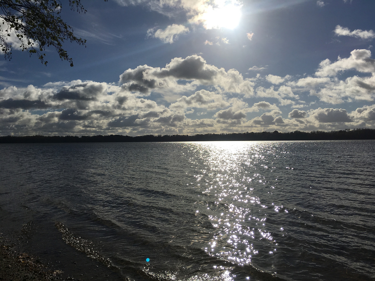 2016-10-29 13.55.21.jpg