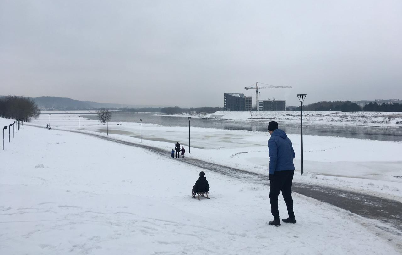 2017-01-14 10.09.00.jpg