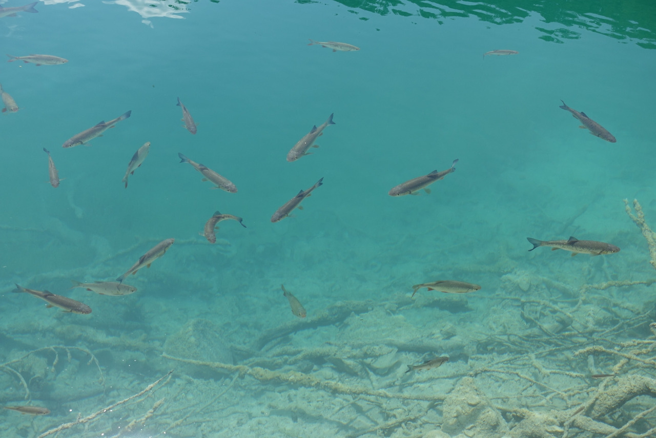 2018-06-20 15.51.45.jpg