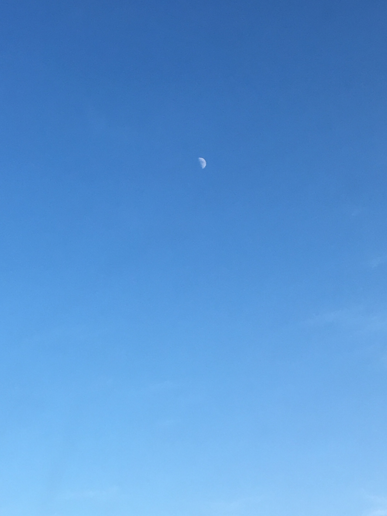 2017-02-04 14.41.58.jpg