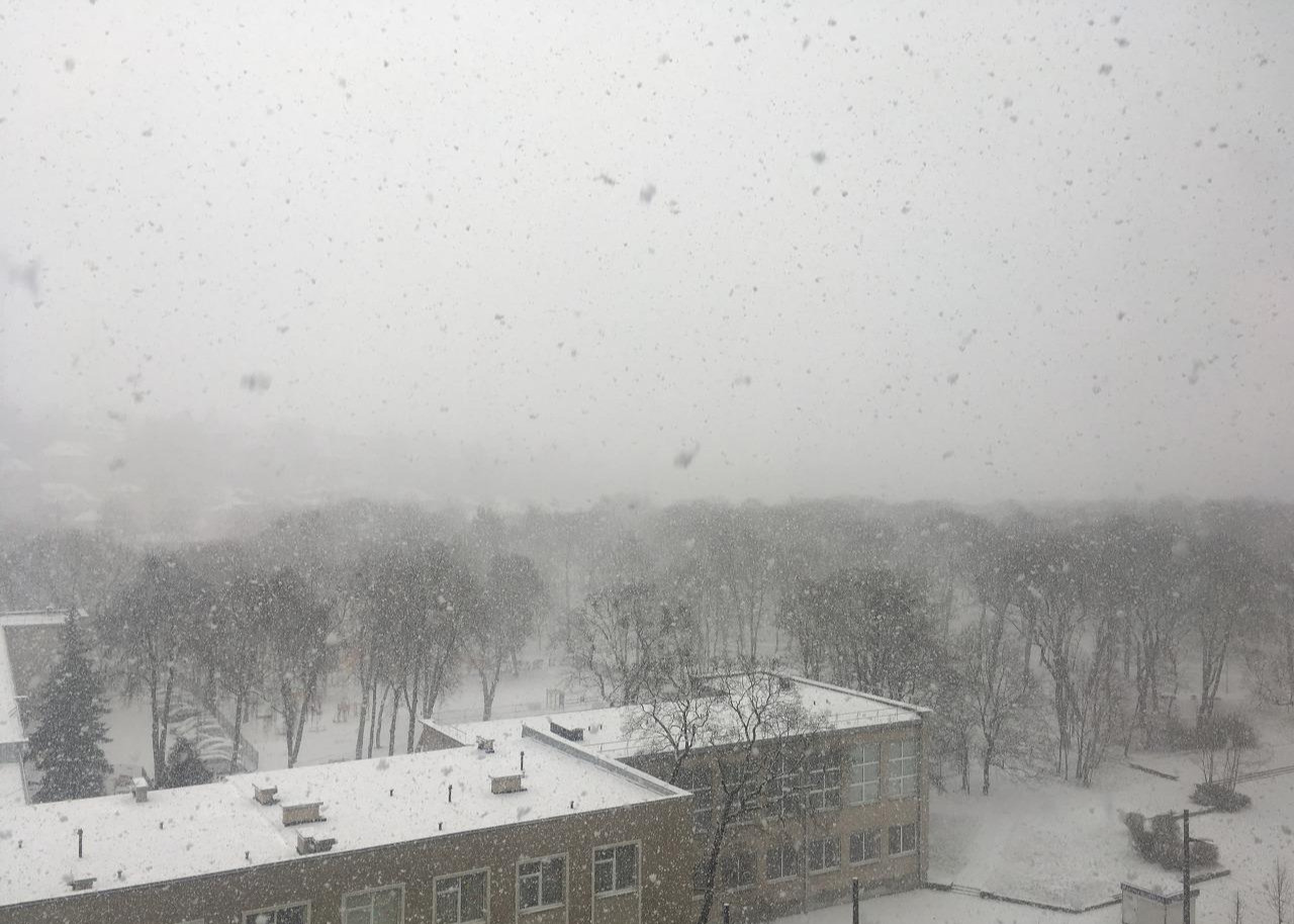 2018-02-05 13.31.32.jpg