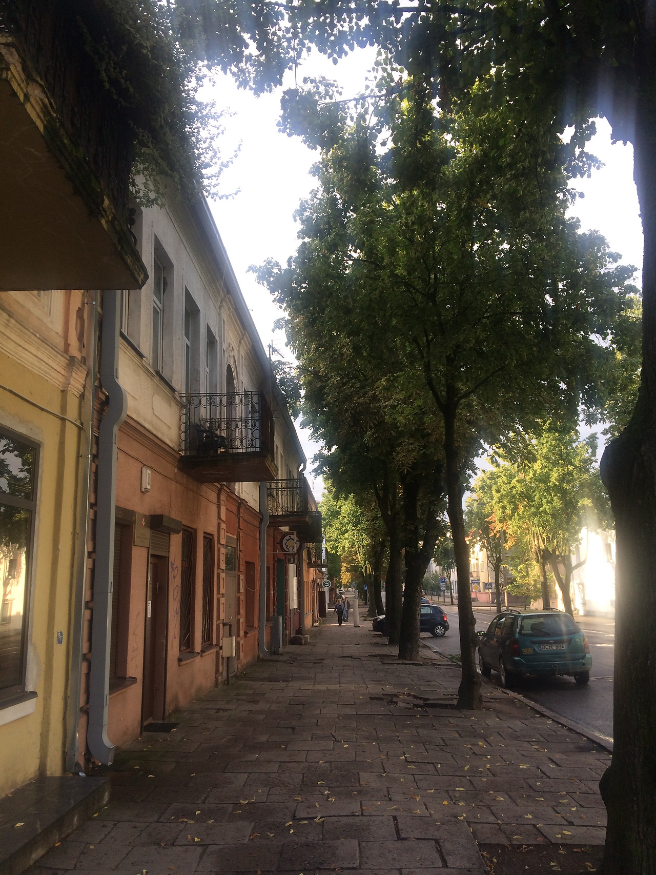 2016-08-24 08.00.59-1.jpg