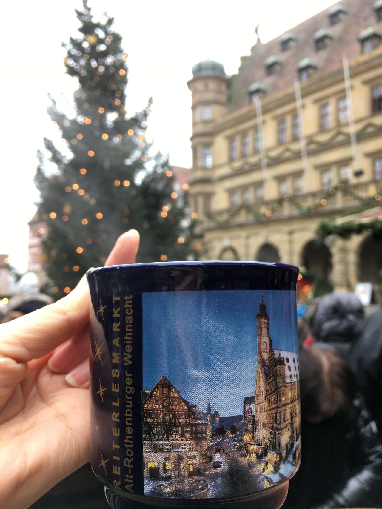 2016-12-05 13.37.58-1.jpg