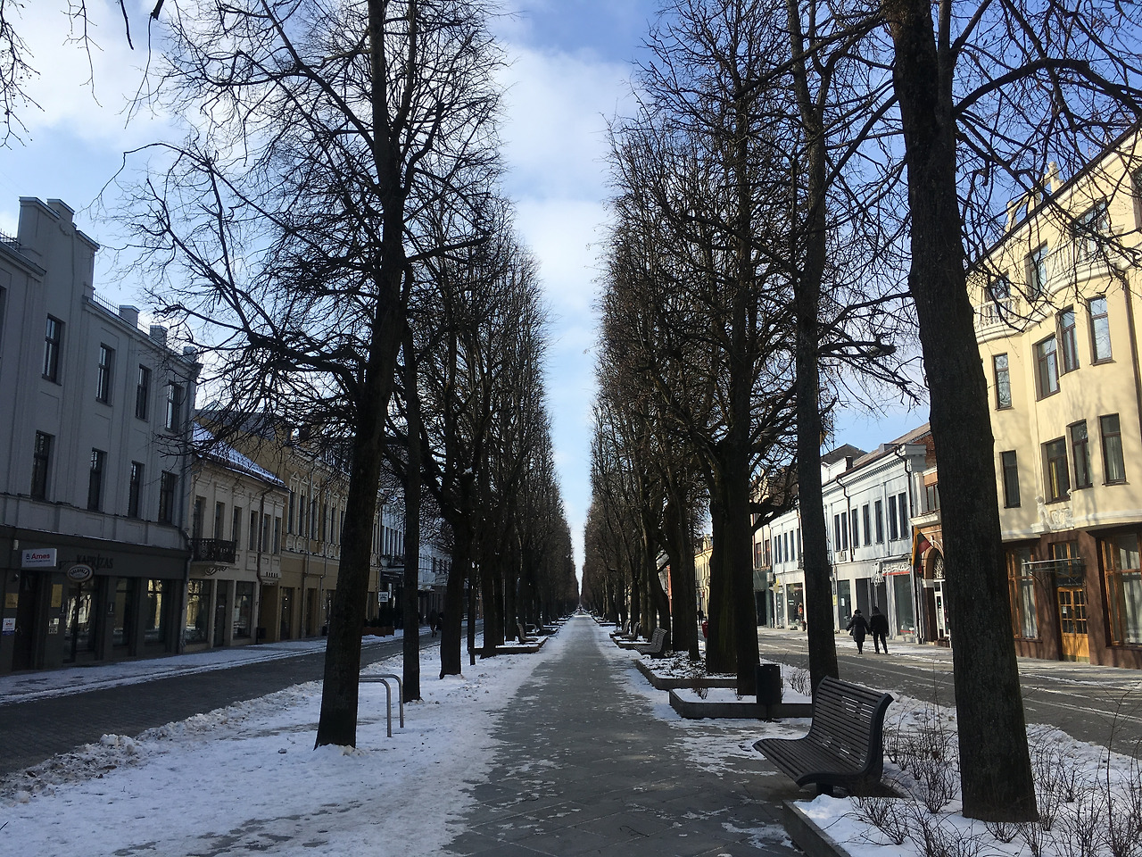 2018-02-25 13.25.11.jpg