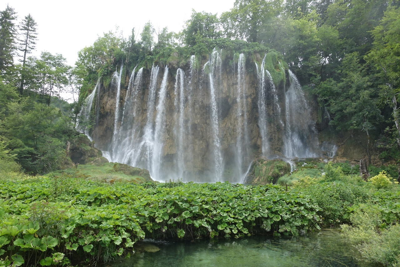 2018-06-20 13.37.33.jpg