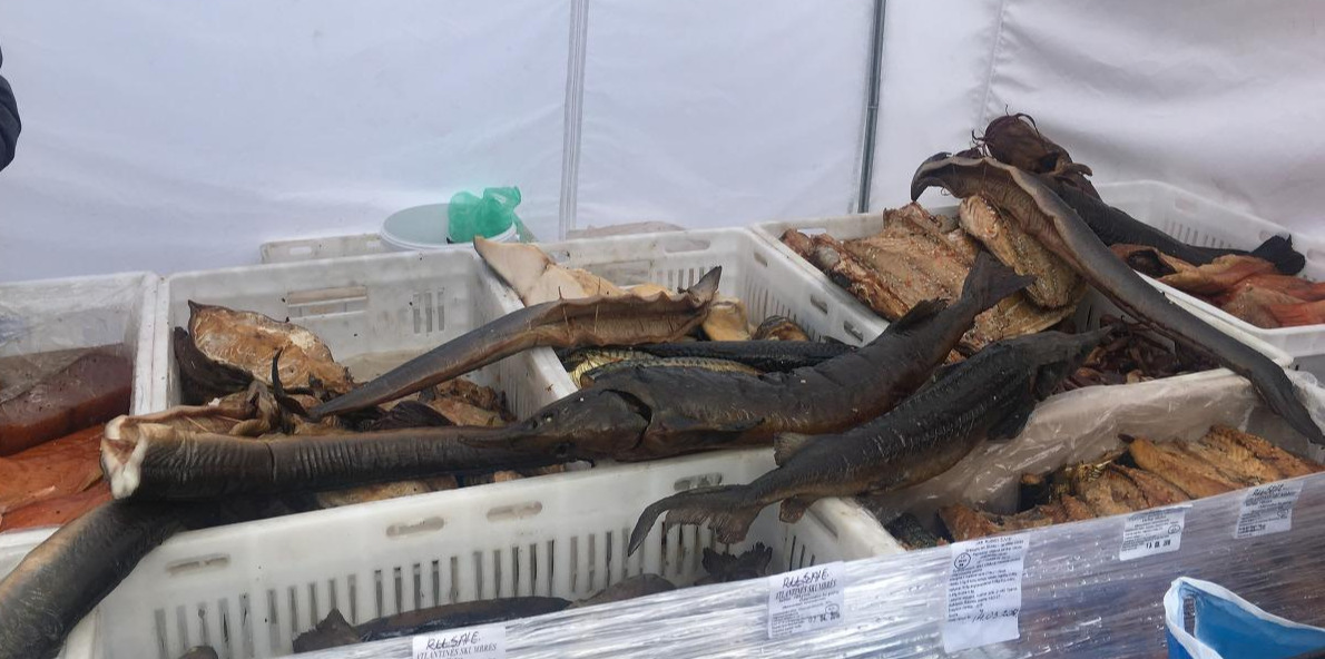 2018-03-10 14.24.23.jpg