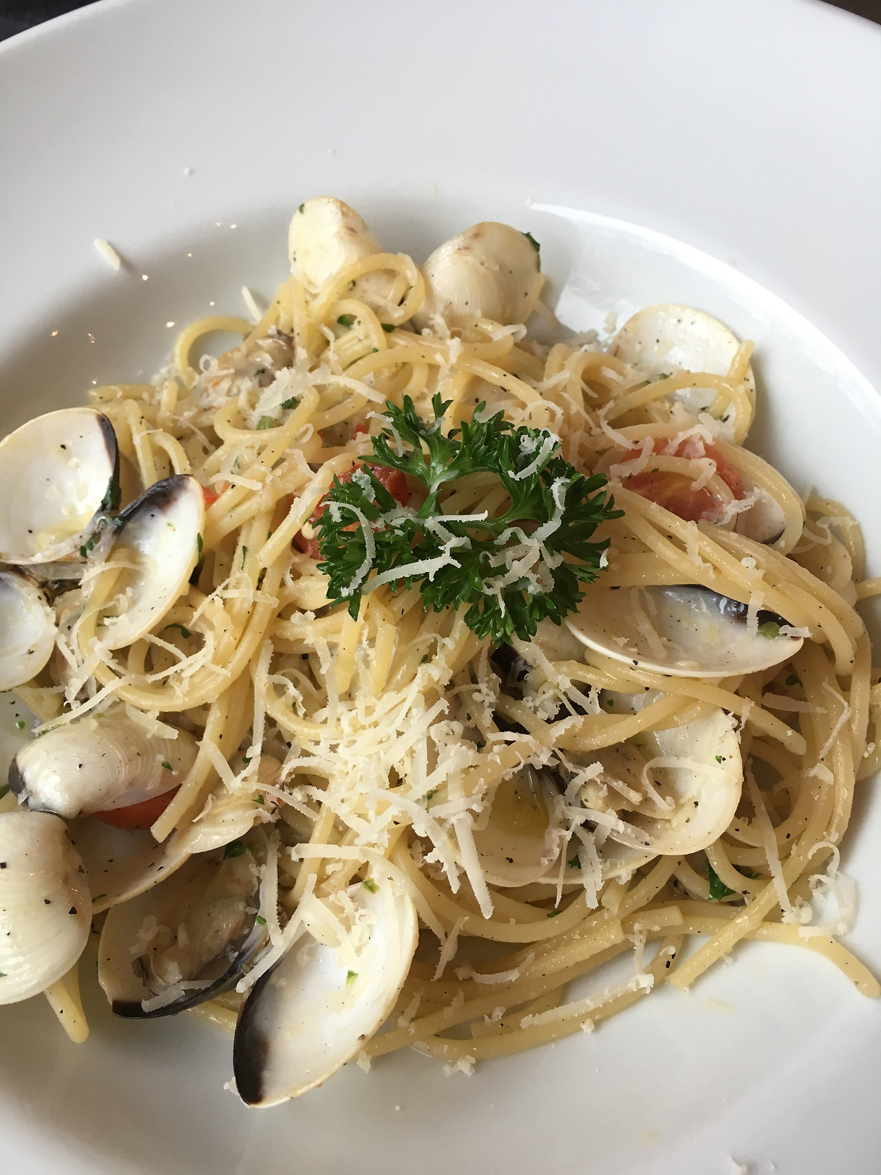 2016-11-06 12.56.48.jpg