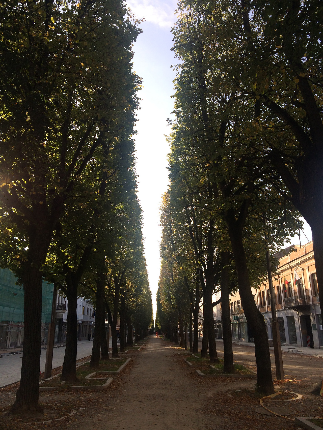 2016-09-25 16.57.26.jpg