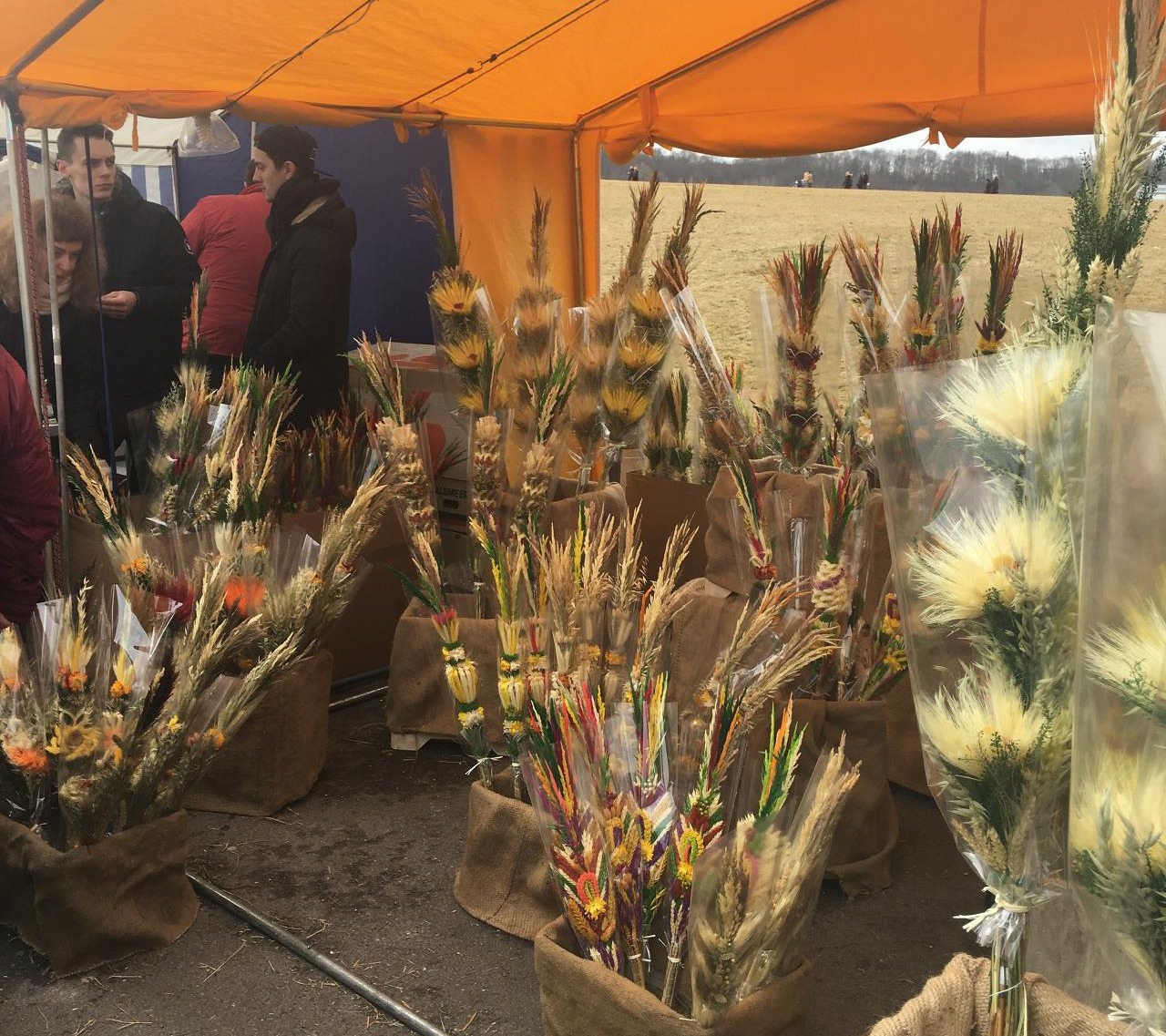 2017-03-11 12.10.20.jpg