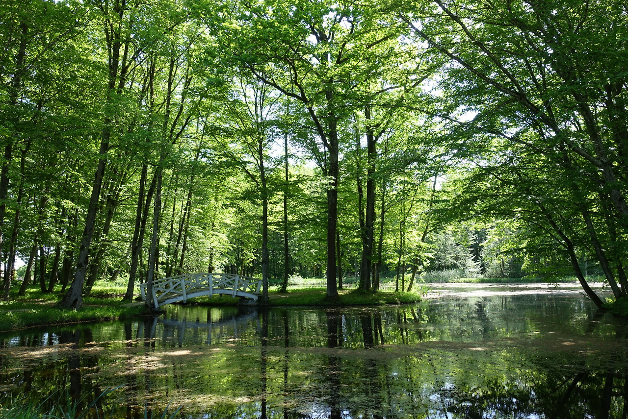 2018-05-13 12.14.23.jpg