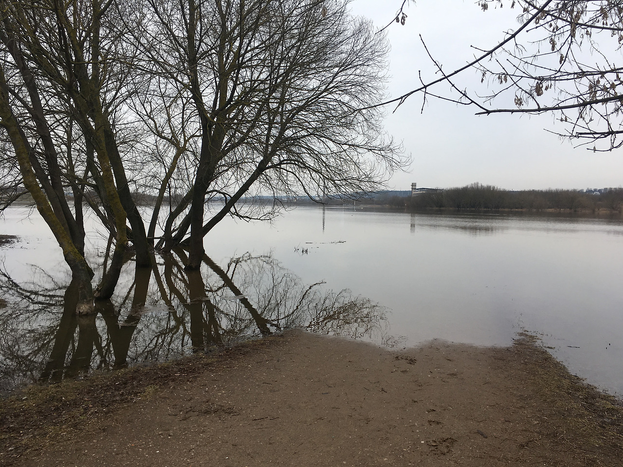 2017-03-04 11.09.59.jpg