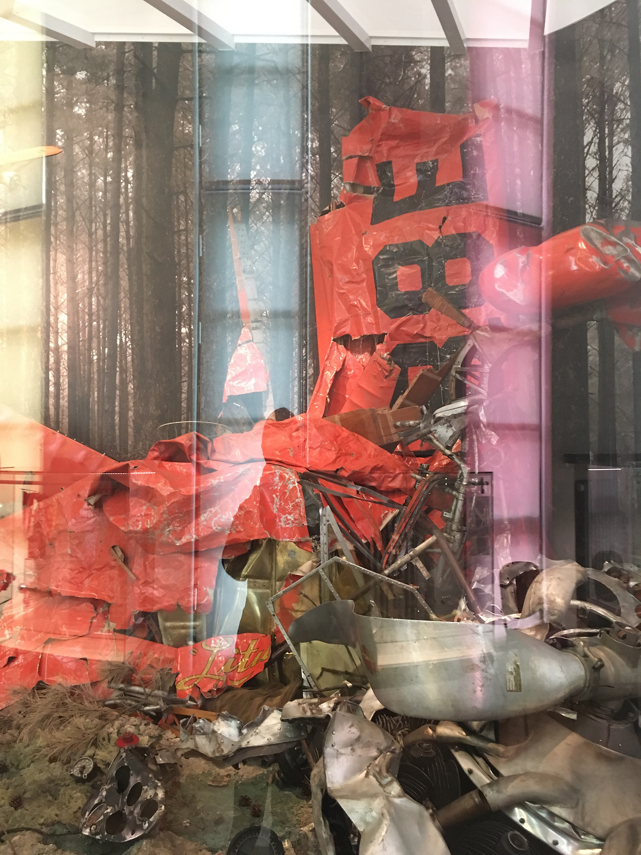 2017-02-16 14.03.34.jpg