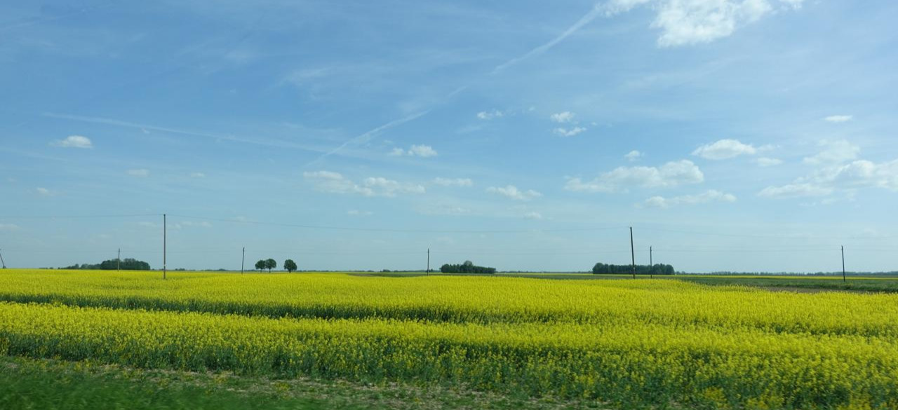 2018-05-13 14.51.43.jpg