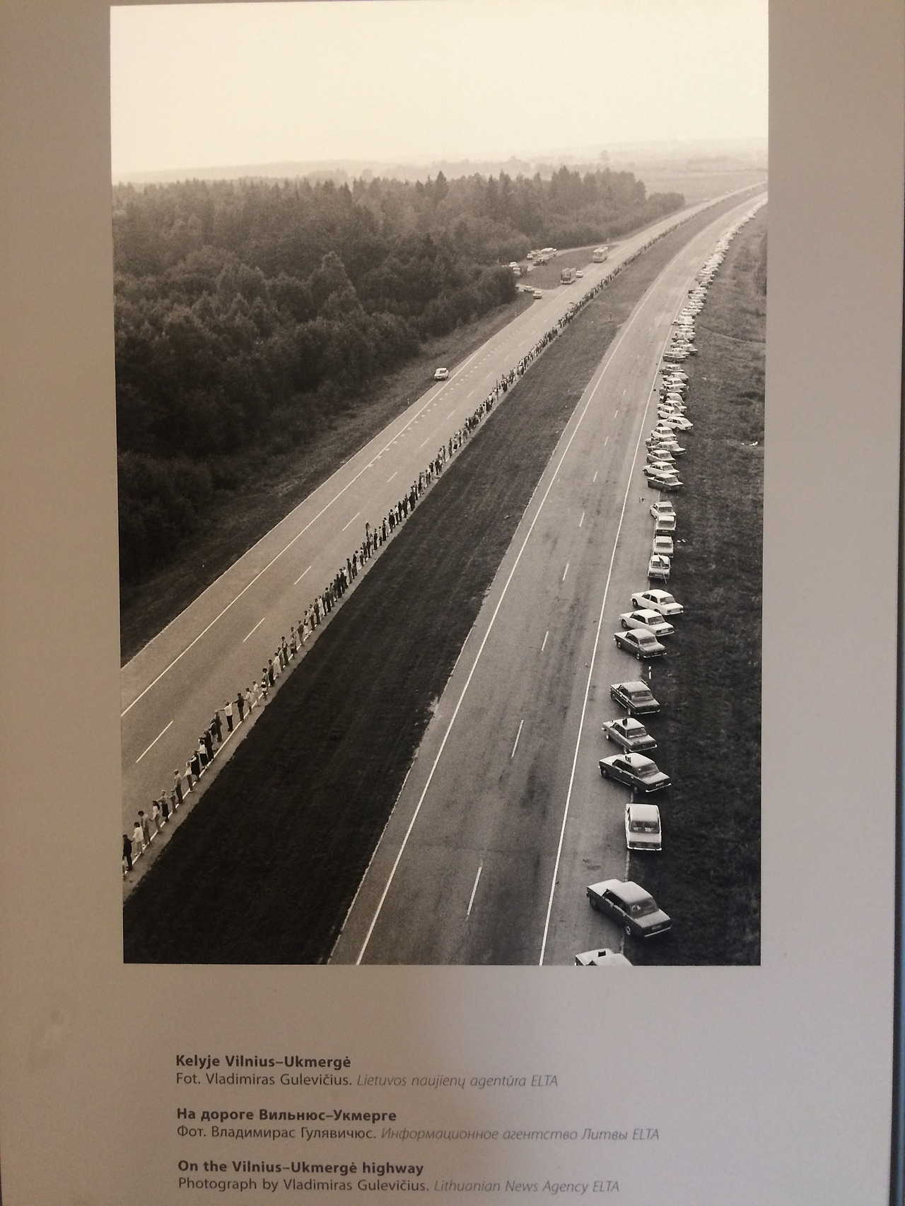 2016-09-09 17.24.23.jpg