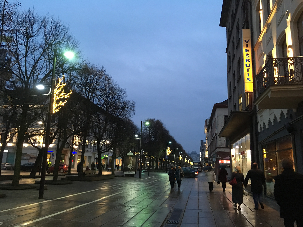 2016-11-19 16.29.27.jpg