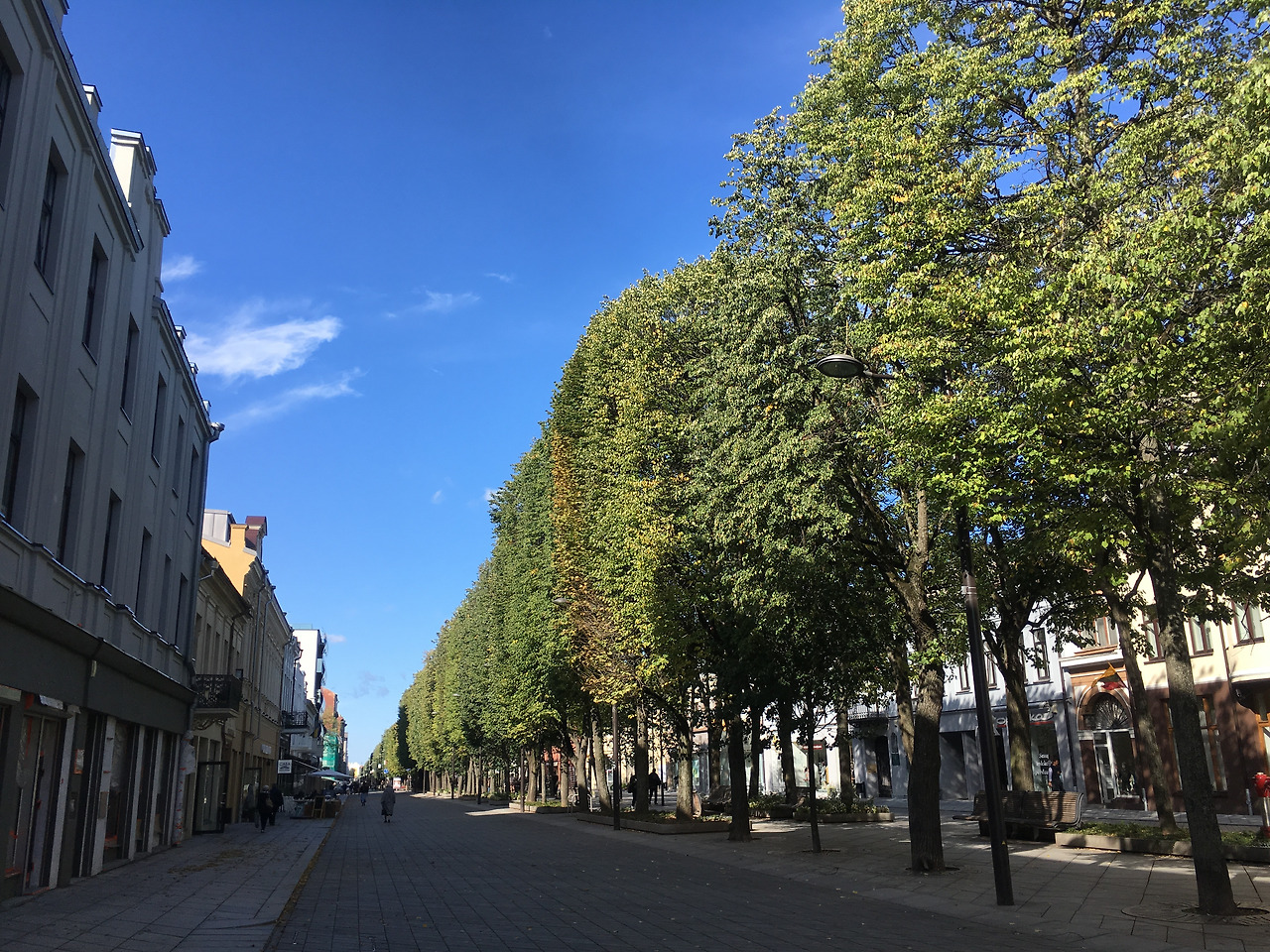 2017-09-14 11.08.55.jpg