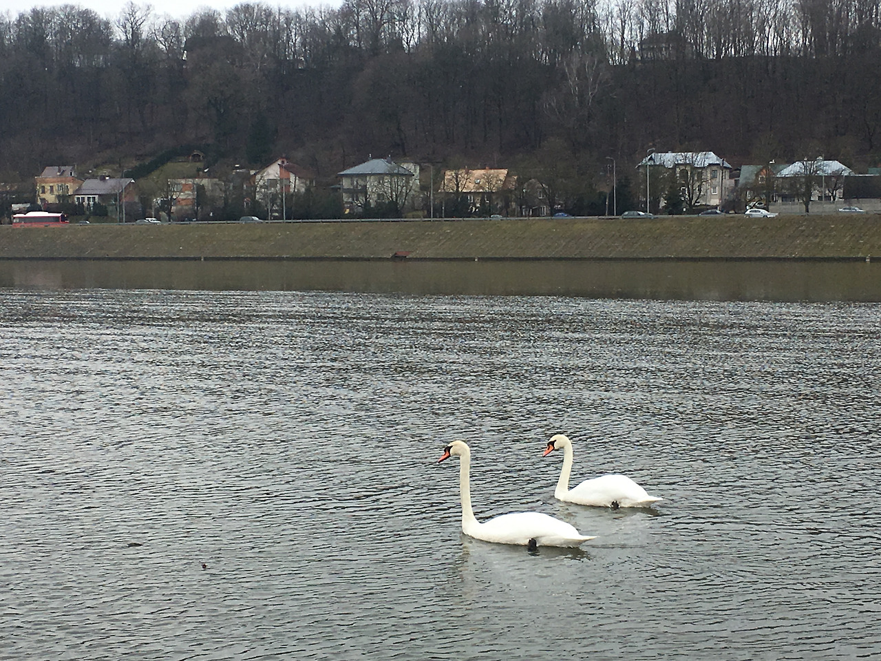 2017-03-04 11.09.07.jpg