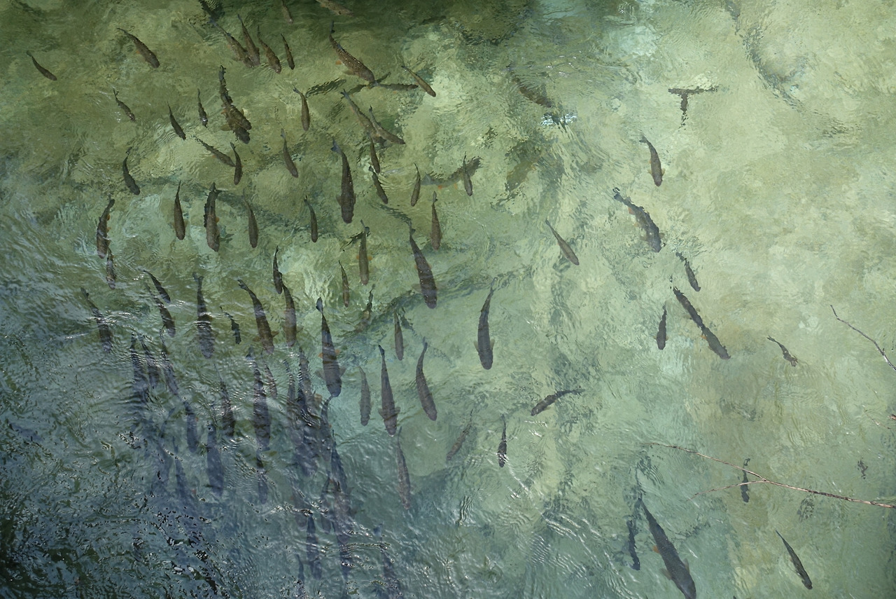 2018-06-20 15.39.45.jpg