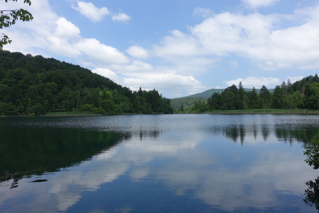 2018-06-20 13.58.45.jpg