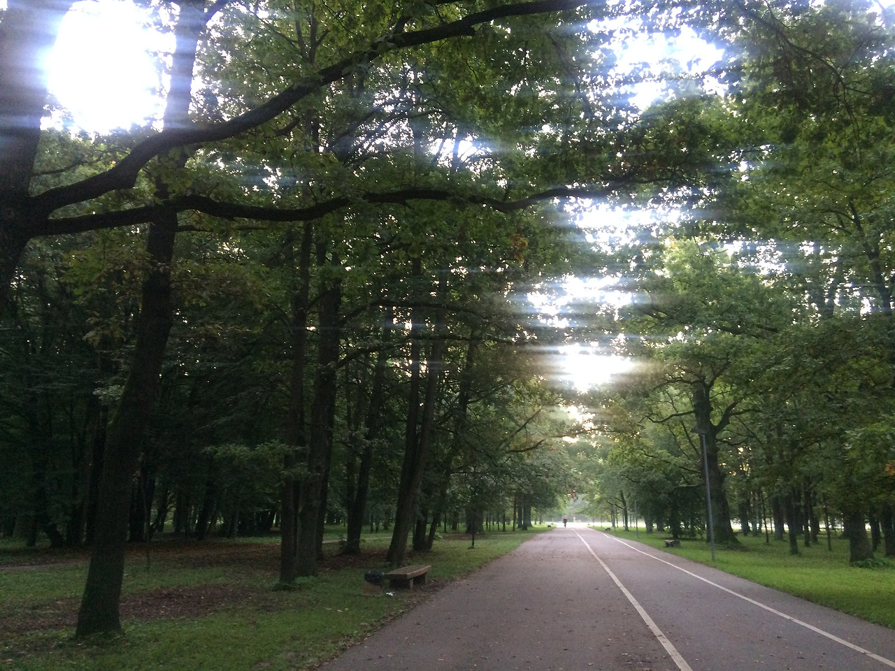 2016-08-25 06.31.24.jpg