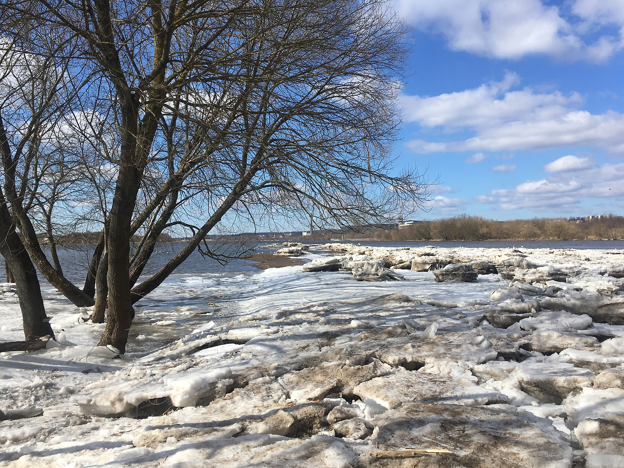 2018-03-21 13.52.05.jpg