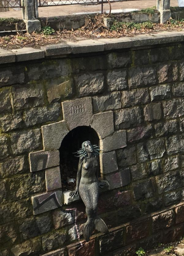 2017-04-01 14.31.56.jpg