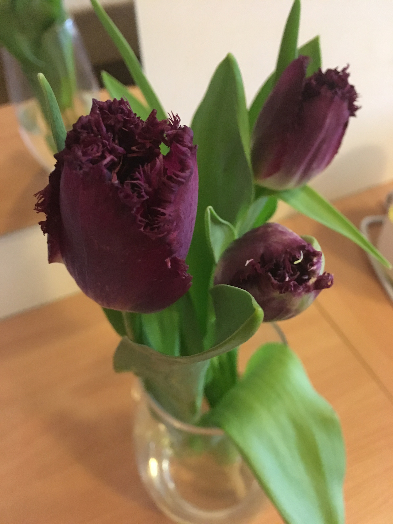 2017-03-01 15.06.31.jpg