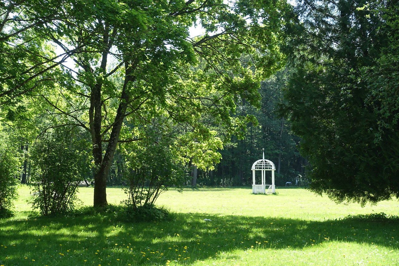 2018-05-13 12.06.09.jpg