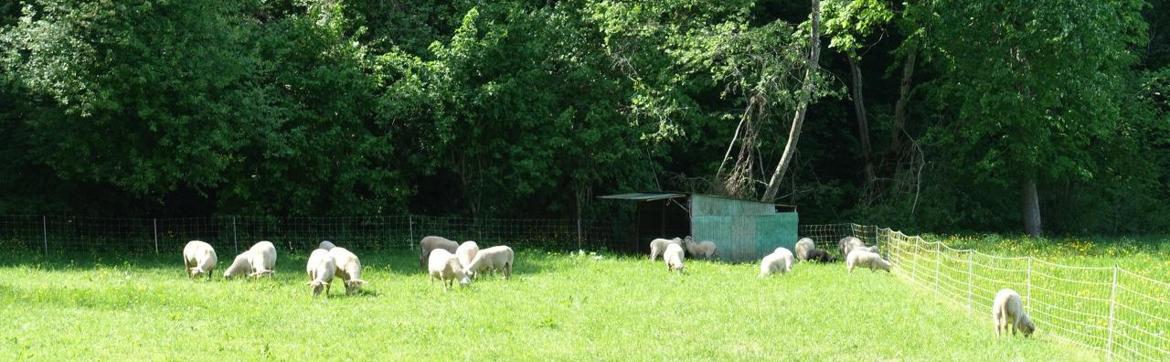 2018-05-13 15.08.32.jpg