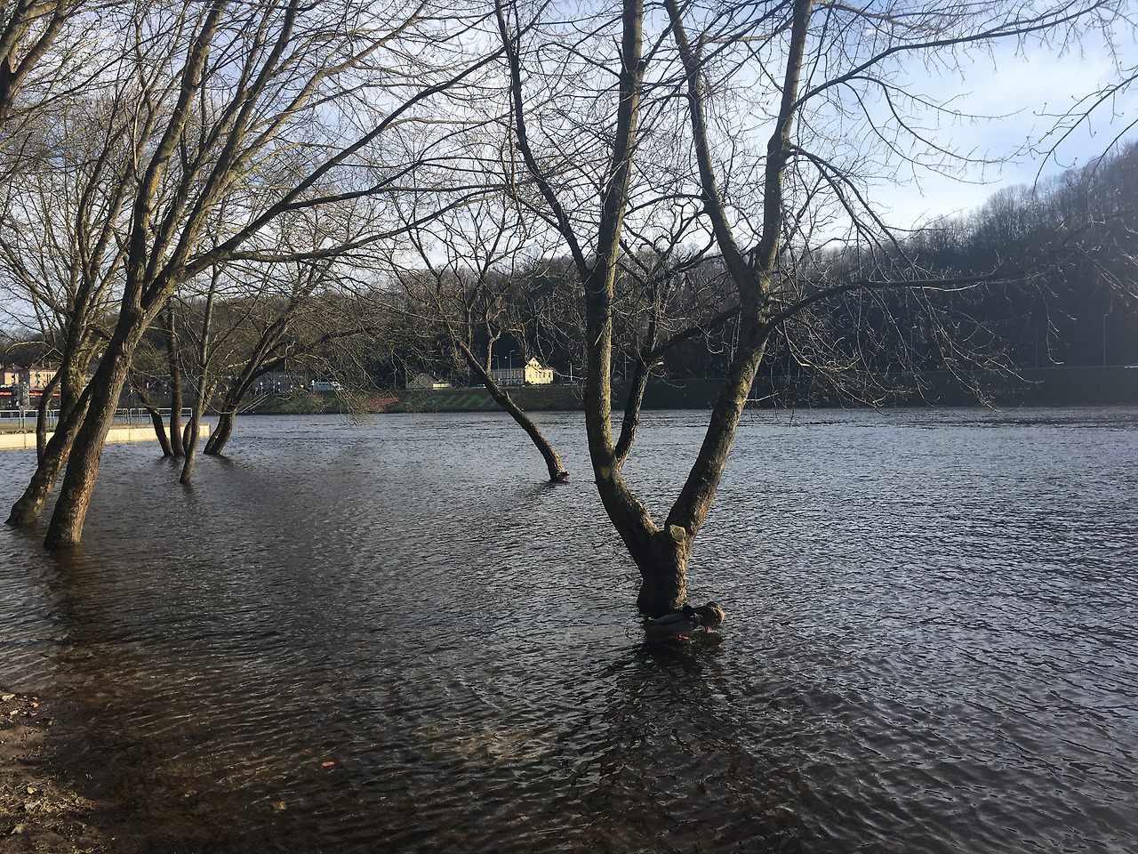 2017-03-22 15.37.58.jpg