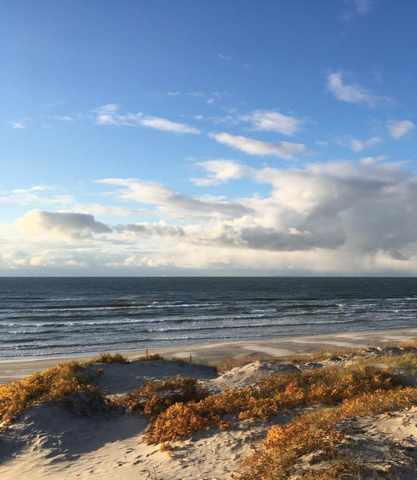 2016-11-03 15.31.56.jpg