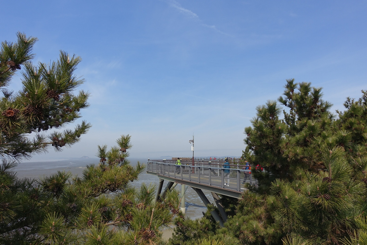 2019-03-09 05.21.59.jpg