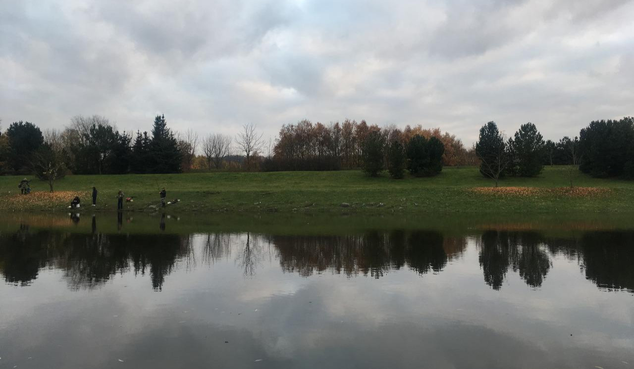 2017-11-08 15.56.30.jpg