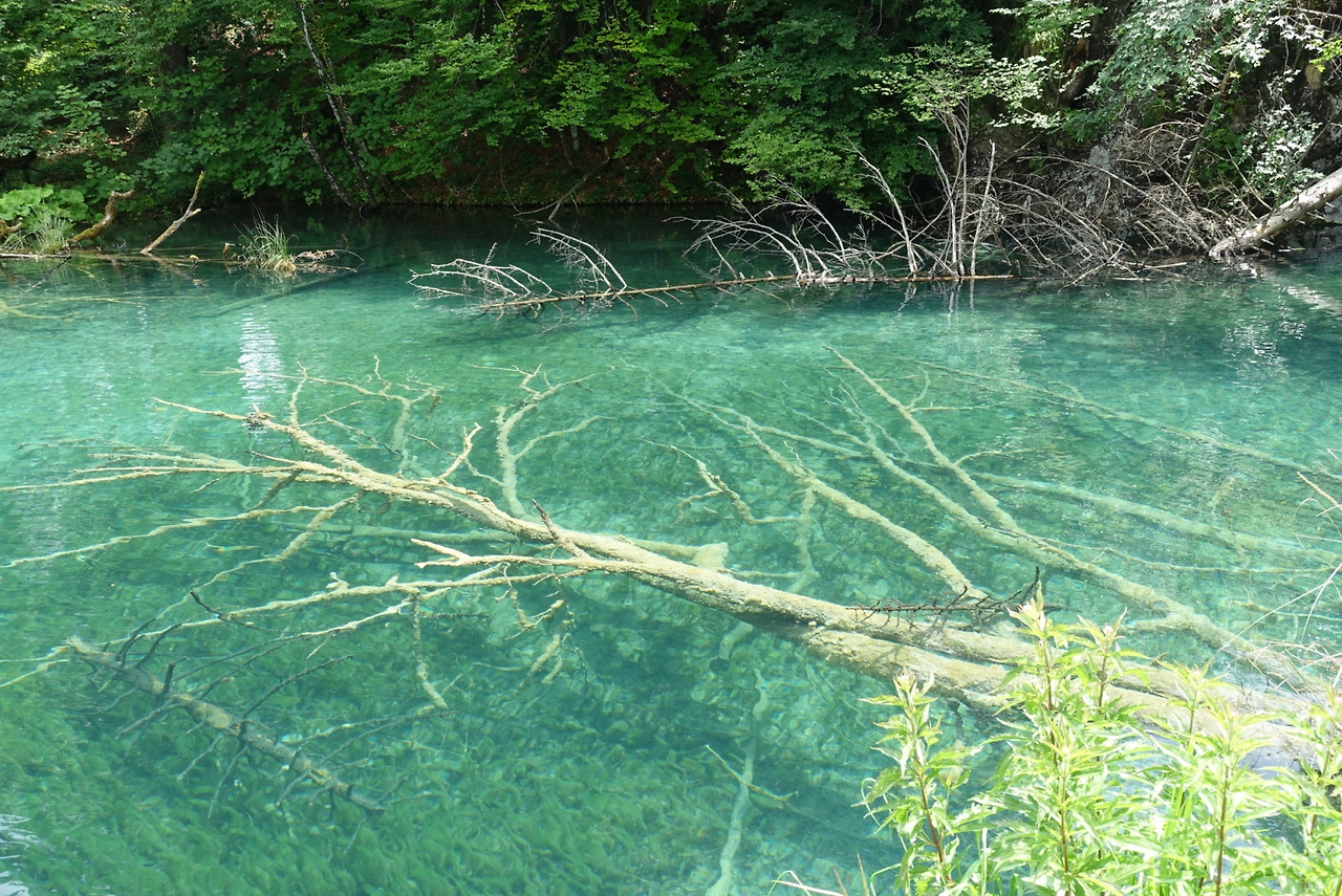 2018-06-20 14.06.14.jpg