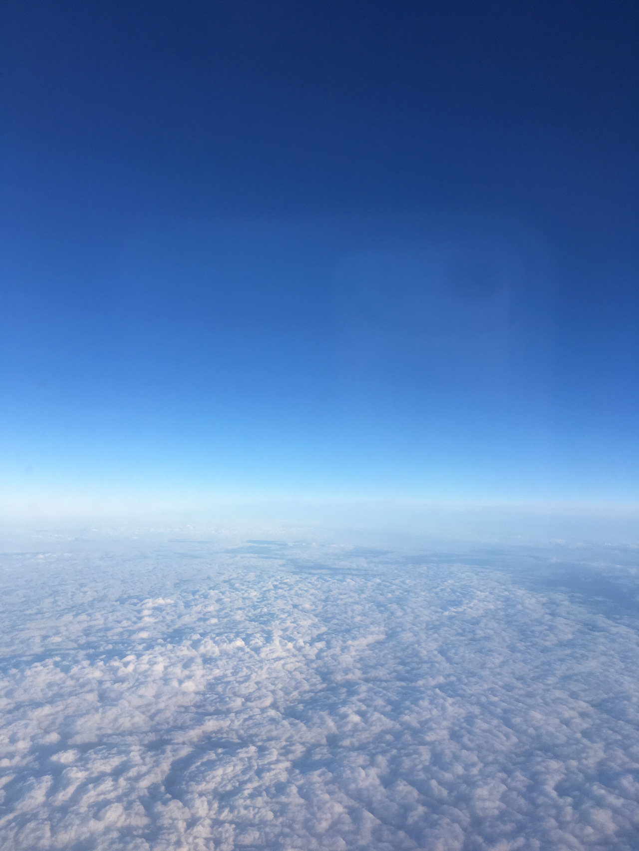 2016-12-23 13.13.48.jpg