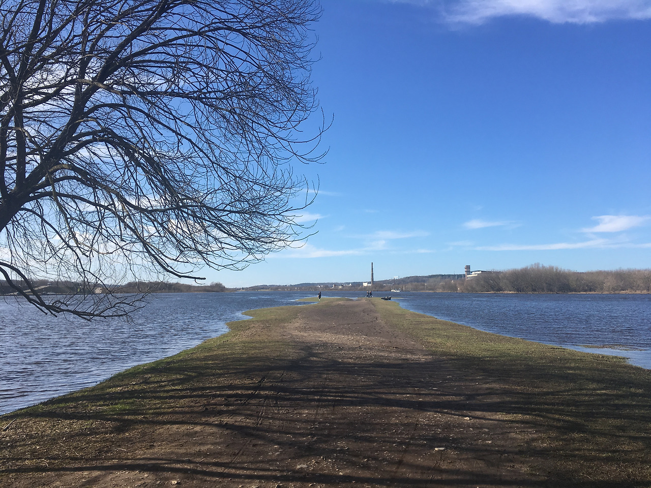 2017-03-22 15.17.14.jpg