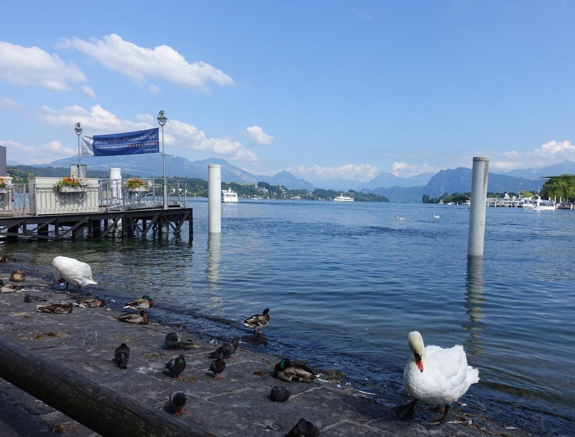 2018-06-14 17.50.31.jpg