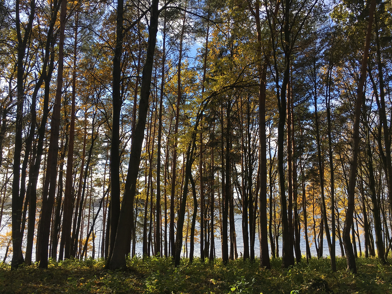 2016-10-29 13.50.13.jpg