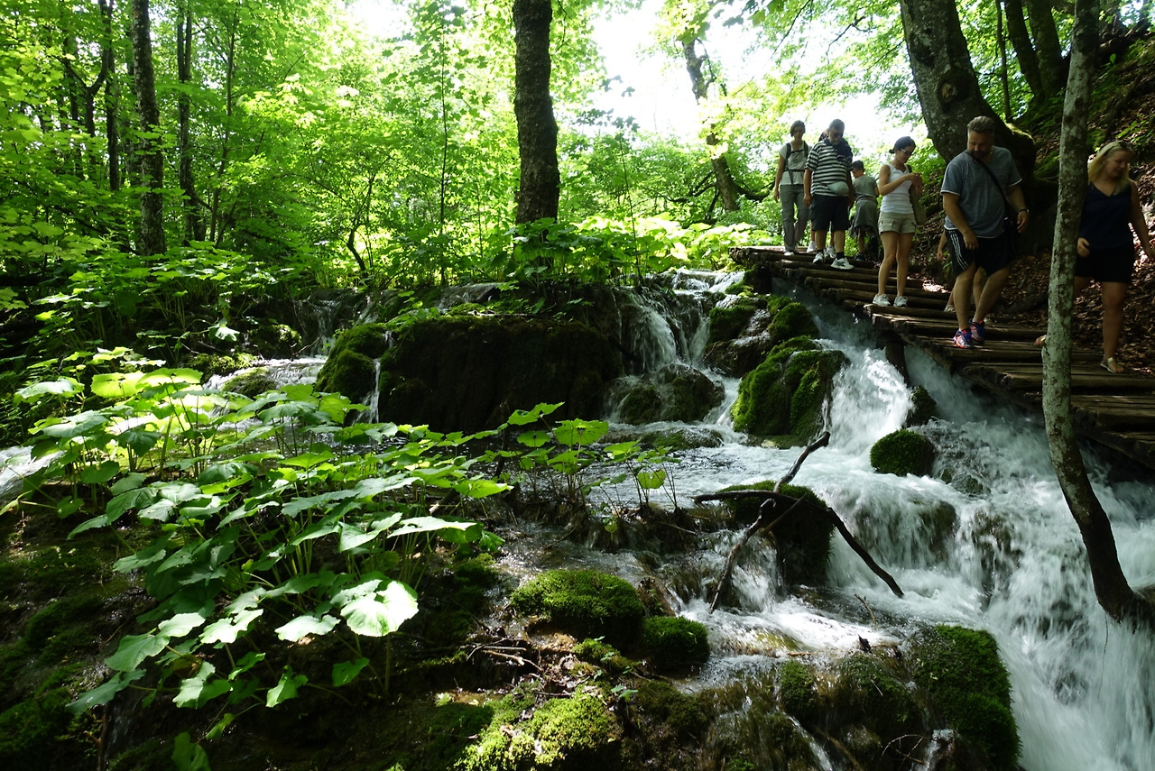 2018-06-20 12.51.17.jpg